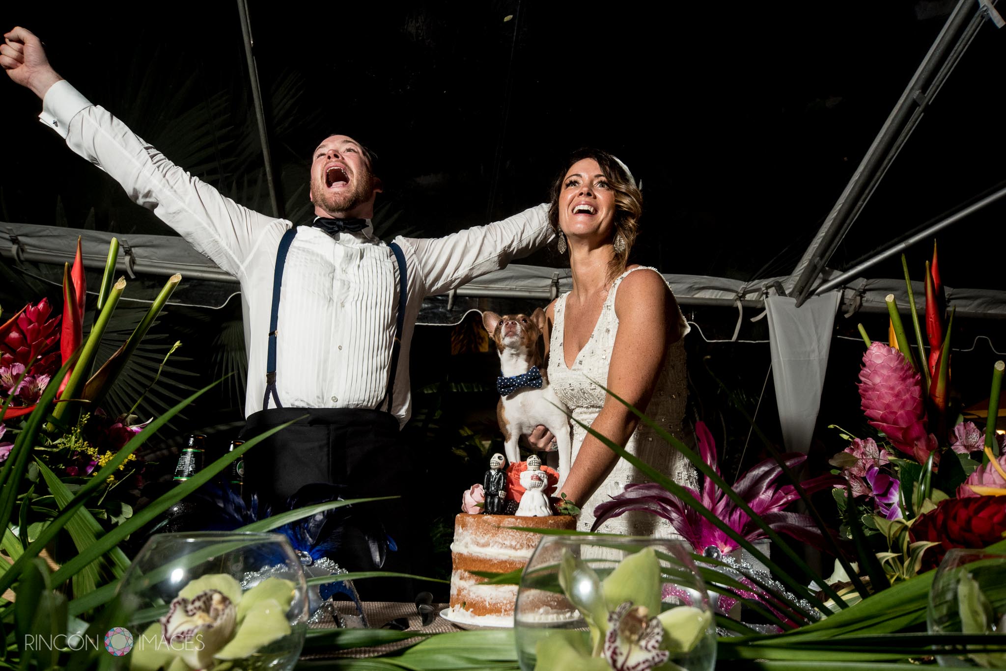 Wedding photograph of the bride and groom cutting their wedding cake