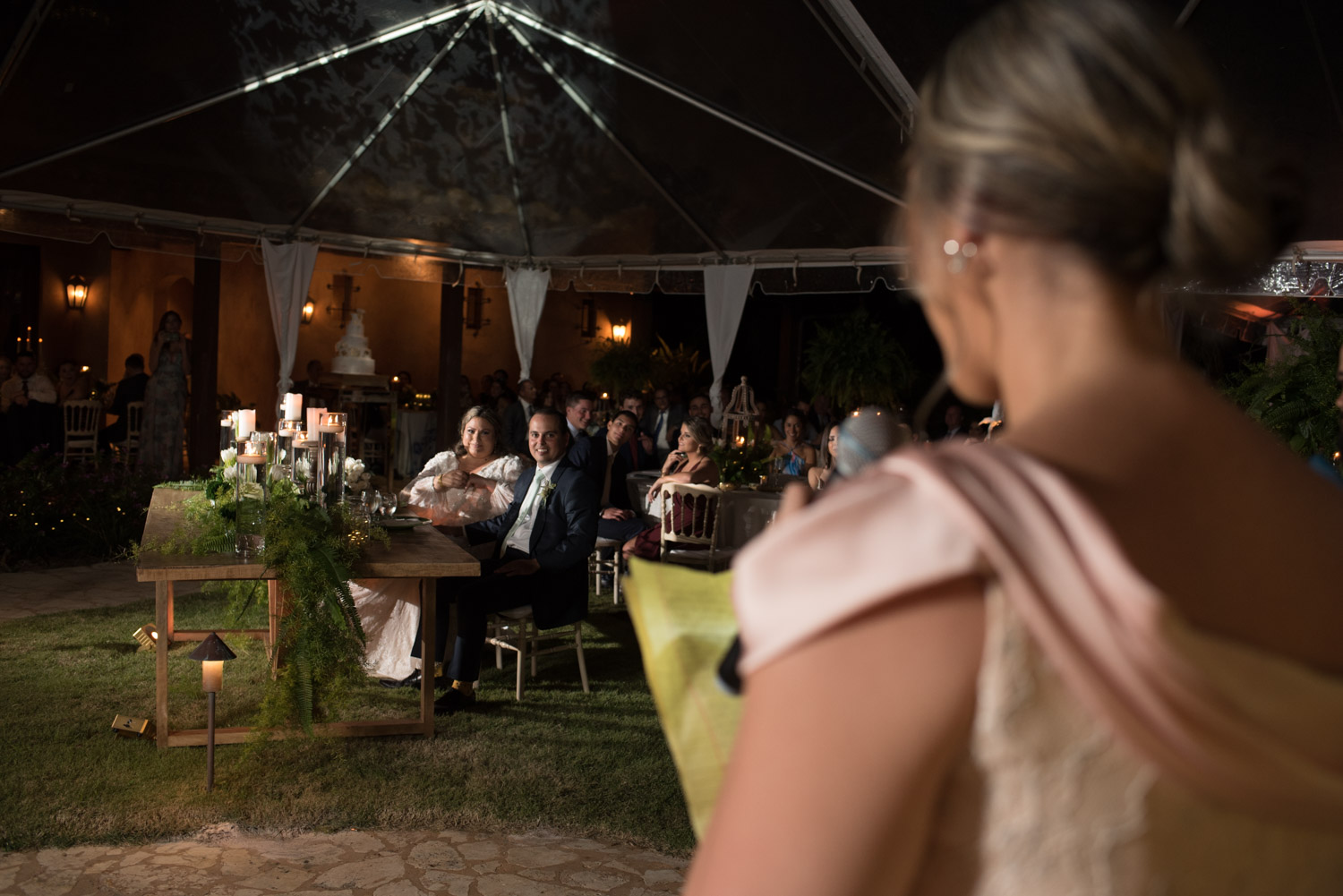 Maid of honor giving toast during wedding reception