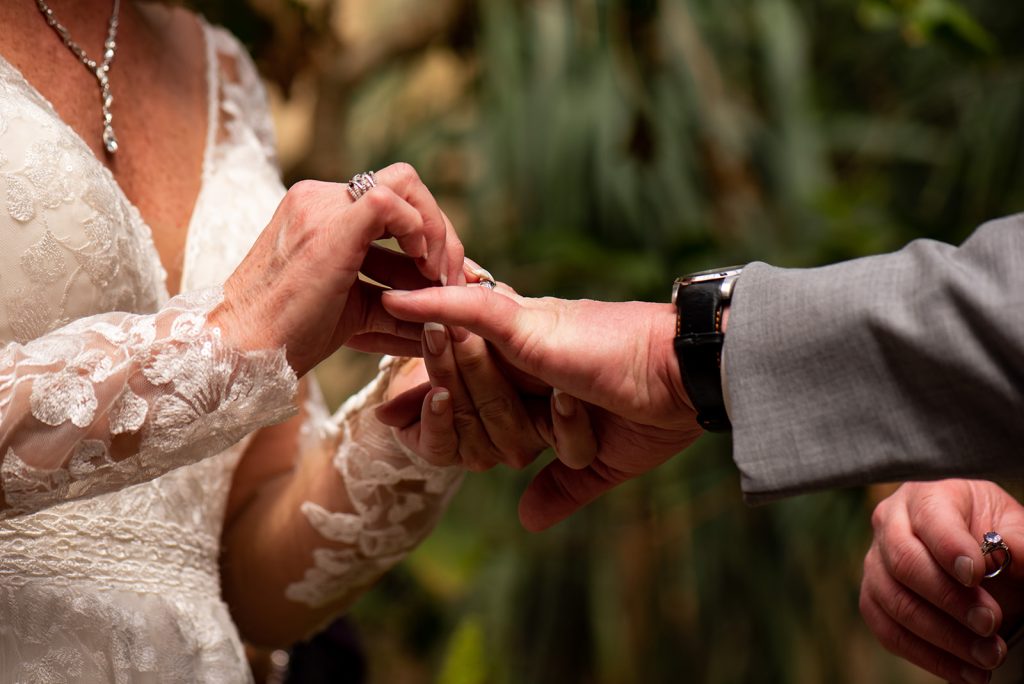 a bride and groom holding hands during a wedding ceremony.
